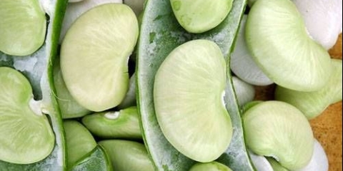 Slatki pasulj lima grah